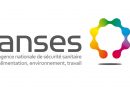 Les boissons dans des bouteilles en verre contiennent plus de microplastiques que dans d’autres contenants
