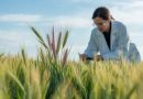 Webinaire sur les nouvelles technologies de modification du génome des plantes