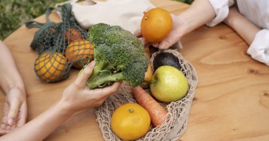 La Fresque Agri’Alim