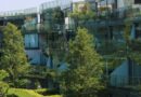 Ecoconception : de nouveaux chemins pour bâtir et rafraîchir la ville