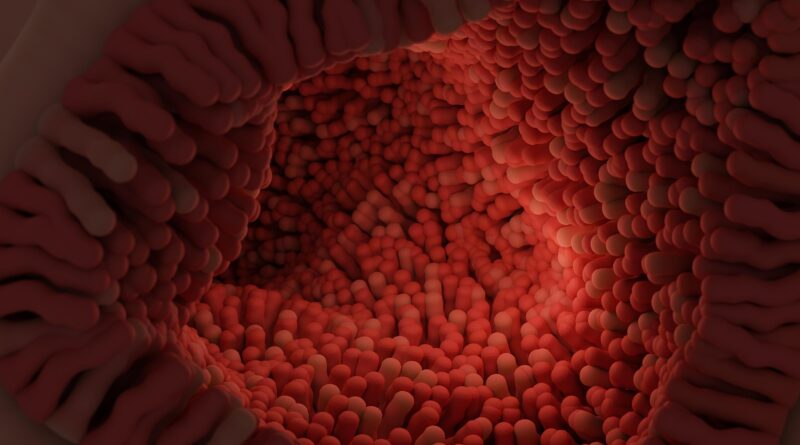 Vous allez adorer votre microbiote !