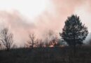 Feux de forêts : quels impacts pour la santé et l&rsquo;environnement ?