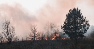 Feux de forêts : quels impacts pour la santé et l&rsquo;environnement ?