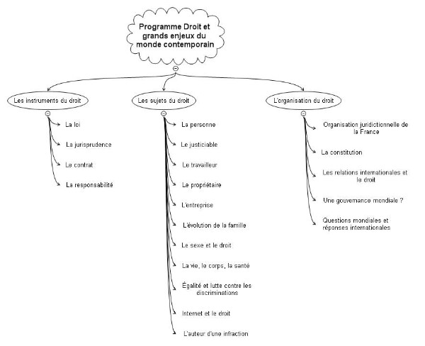 Le programme de DGEMC – Droit et Grands Enjeux du Monde Contemporain