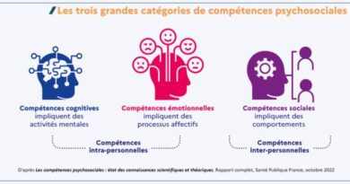 En savoir plus sur les compétences psychosociales (CPS) et l’intégration en Technologie