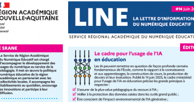 LINE 14 RANA JUIN 2025